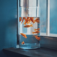 Avatar của Vũ Thị Lan